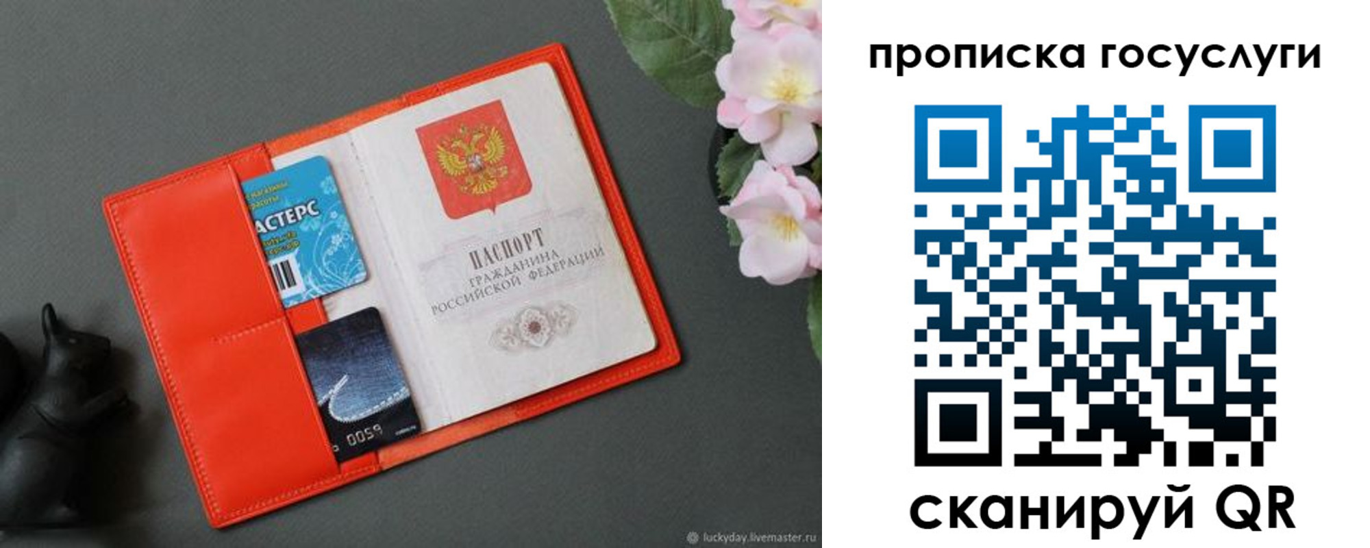 прописка гарантия в Сегеже